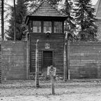 HALT! and if you didn't? 